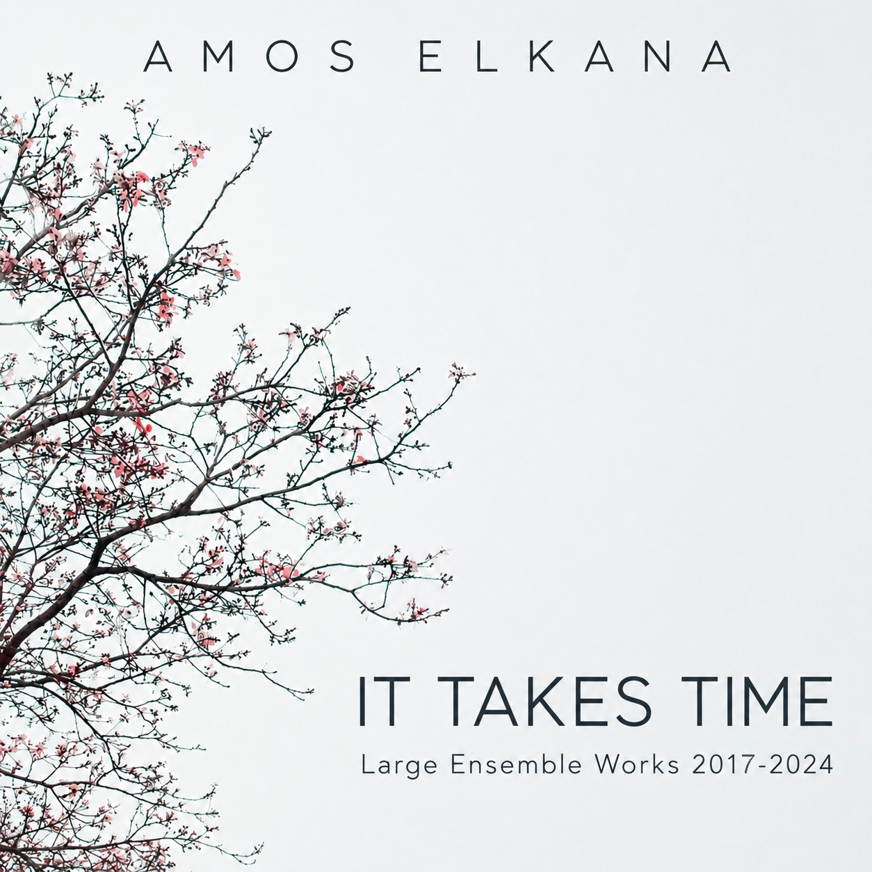 It Takes Time — album cover, Amos Elkana